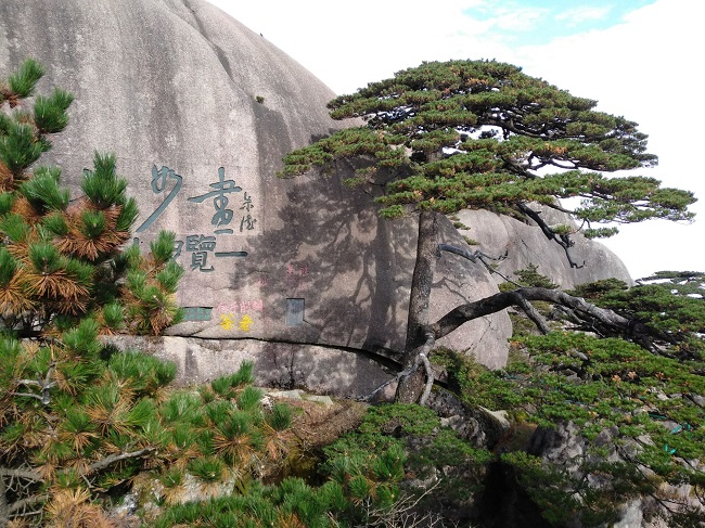 日登黃山，夜醉溫泉！